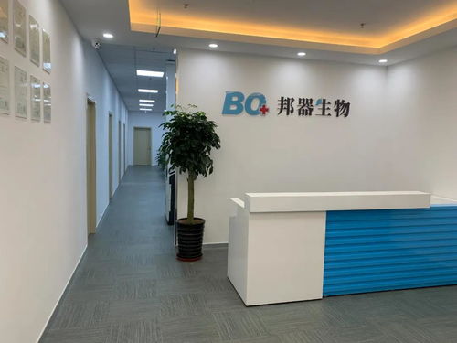 全力推進(jìn)技術(shù)開發(fā)，構(gòu)筑未來發(fā)展新優(yōu)勢(shì)